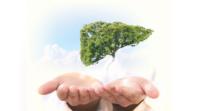 ตับแข็ง