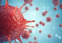 ไวรัสนิปาห์