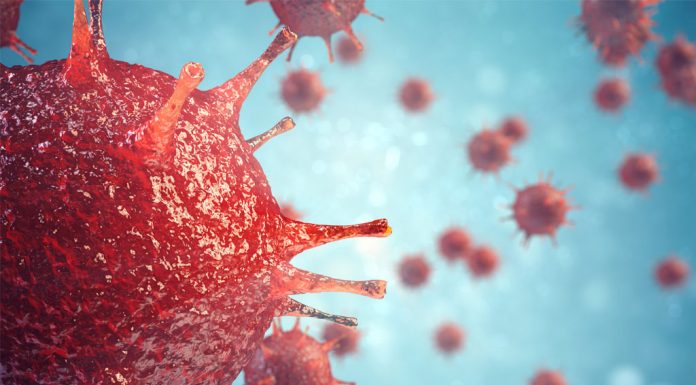 ไวรัสนิปาห์