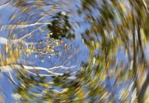 บ้านหมุน