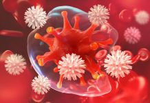 ภูมิต้านทาน