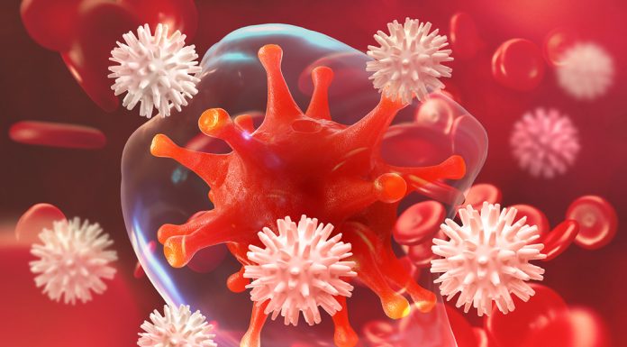 ภูมิต้านทาน