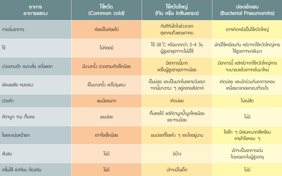 ไข้หวัดใหญ่